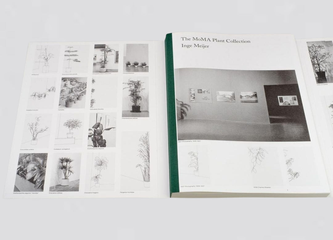 Inge Meijer – The MoMa Plant Collection
