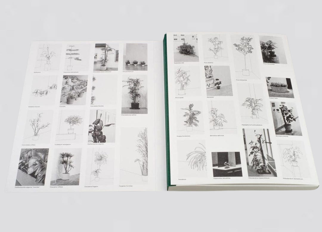 Inge Meijer – The MoMa Plant Collection