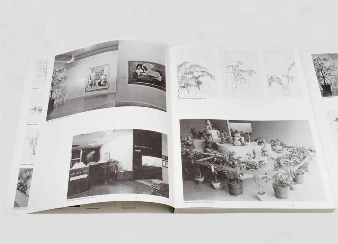 Inge Meijer – The MoMa Plant Collection