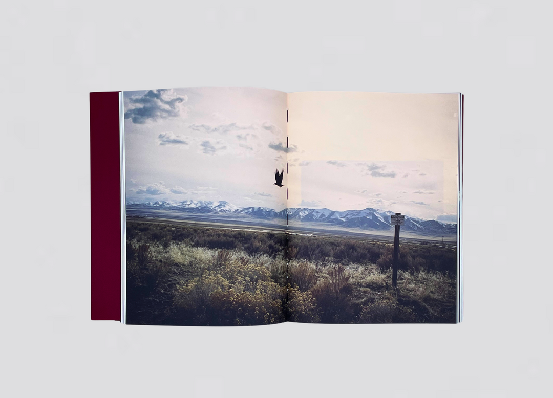 Michael Brodie – Failing