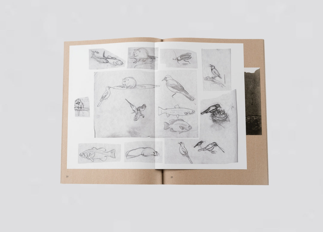 Dan Leers - Widening the lens: Photography, ecologym and the contemporary landscape