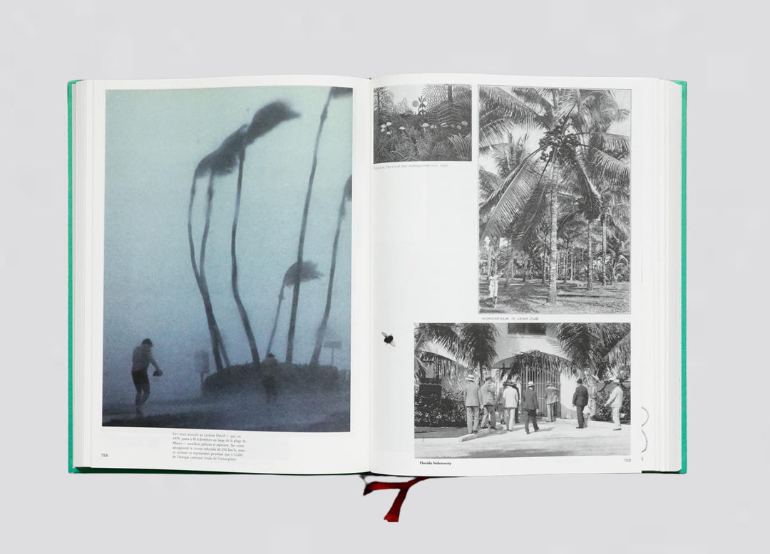 Batia Suter – Parallel Encyclopedia #2