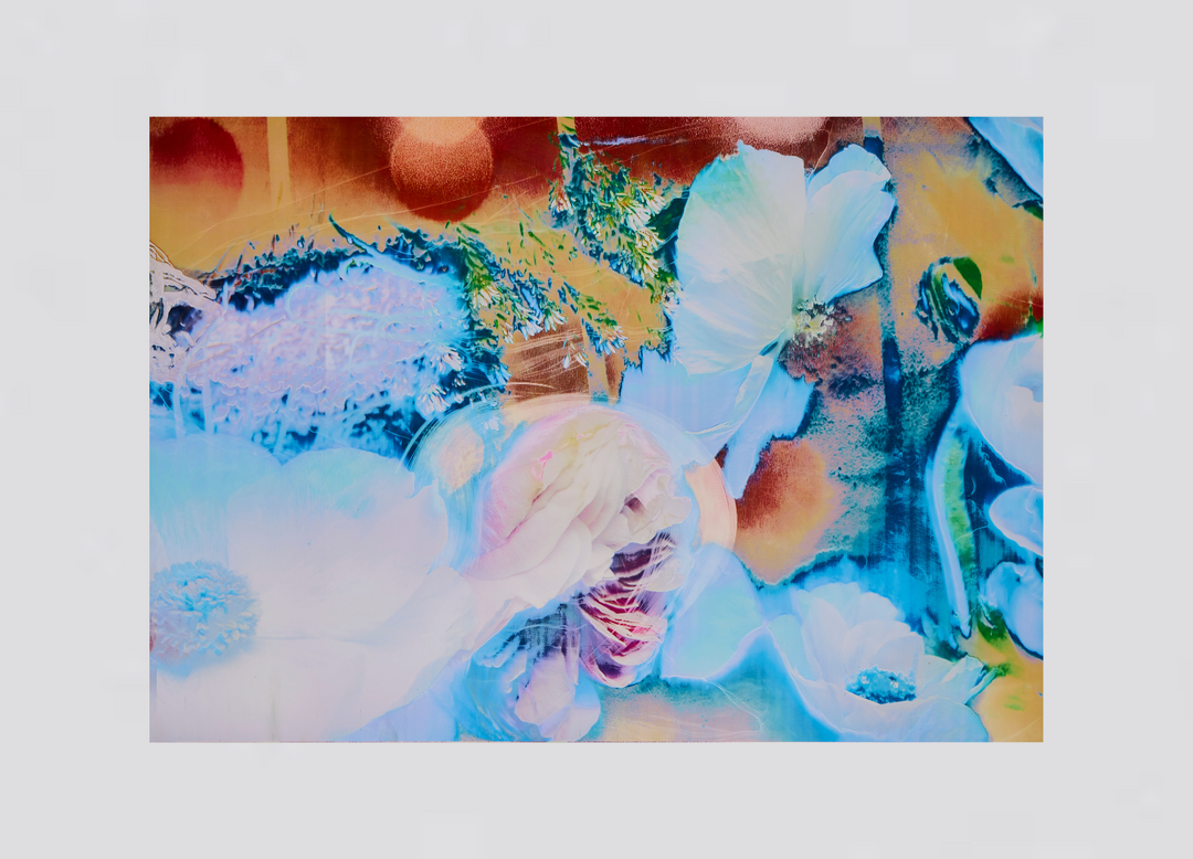 Of Voices and Herbs #2