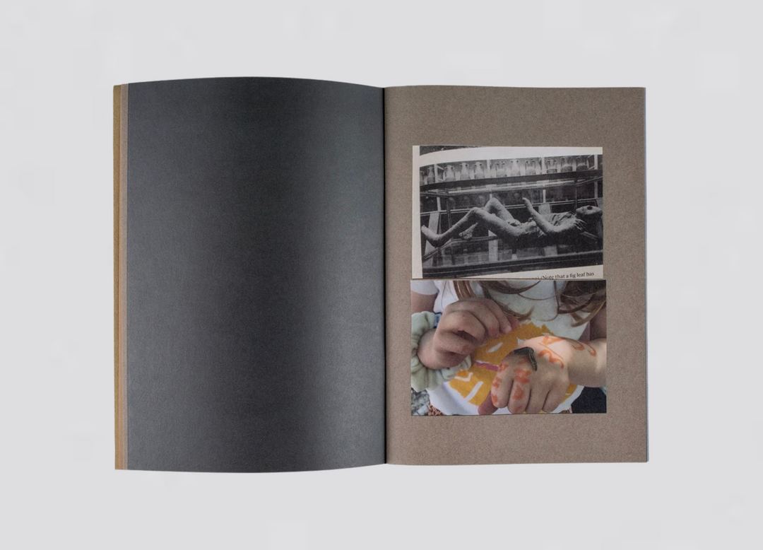 Pauline Hisbacq - Collages pour Nina