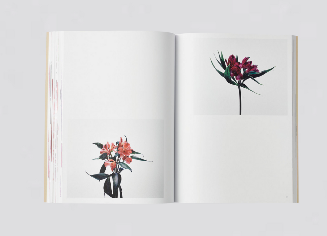 Jeremy Ayer — Organs of a Divided Labour - Flowers