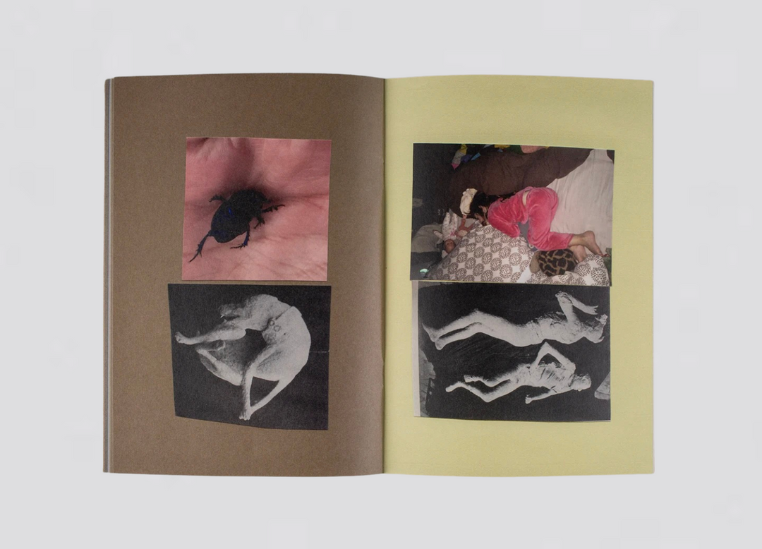 Pauline Hisbacq - Collages pour Nina