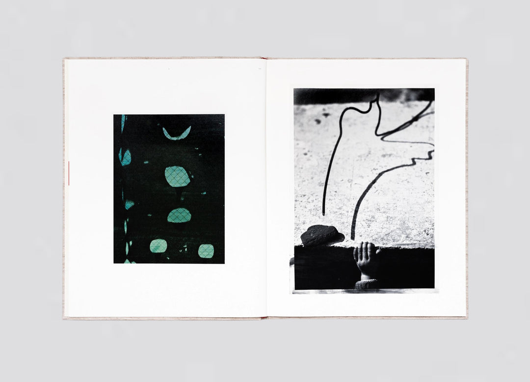 Annemarieke van Drimelen & Jasper Krabbé — June