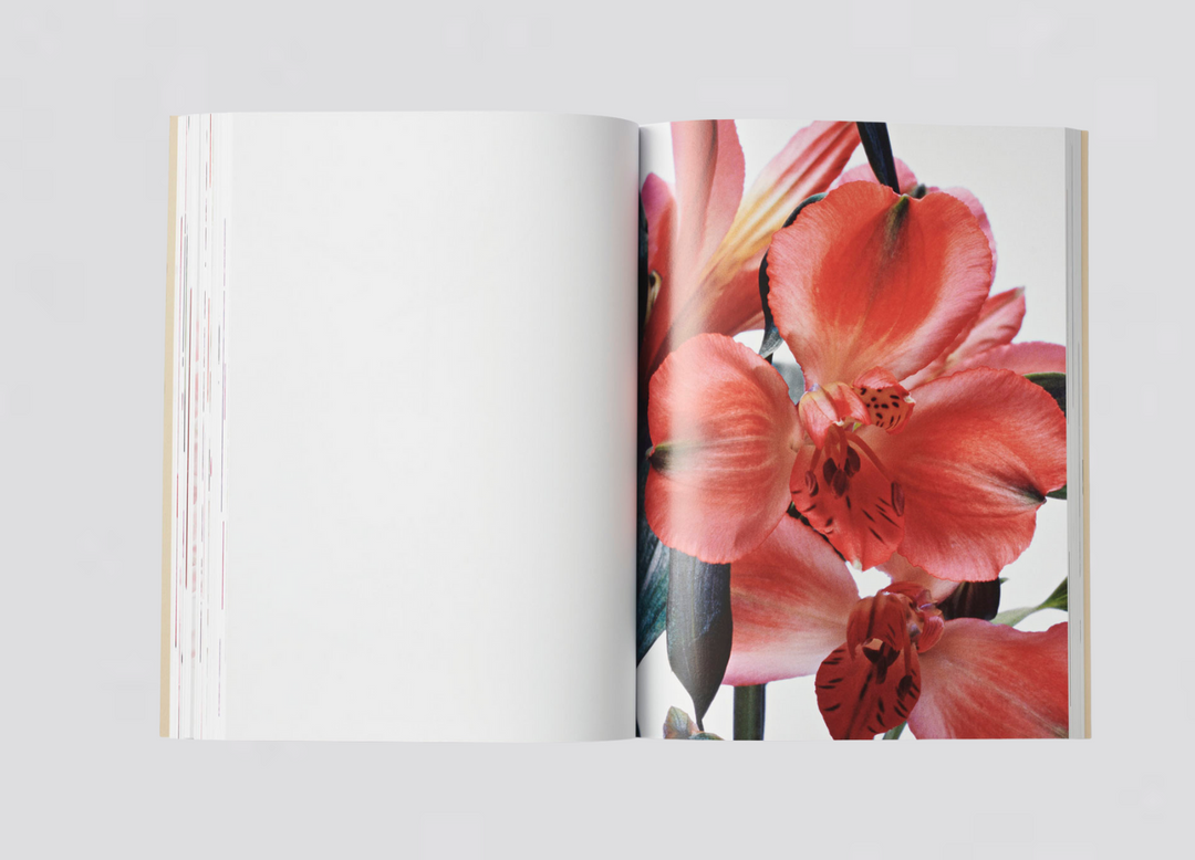 Jeremy Ayer — Organs of a Divided Labour - Flowers