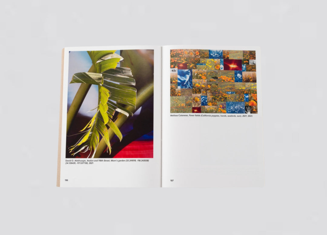Dan Leers - Widening the lens: Photography, ecologym and the contemporary landscape
