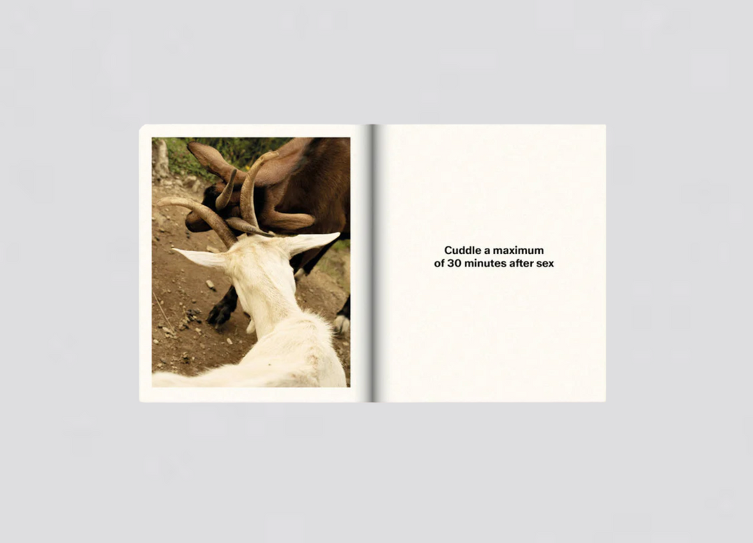 Sabine Hess, Nicolas Polli – One bed, two blankets, eighty-five rules