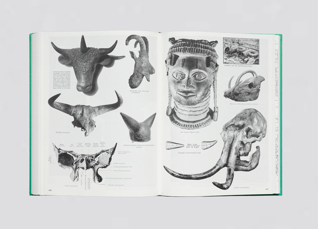 Batia Suter – Parallel Encyclopedia #2