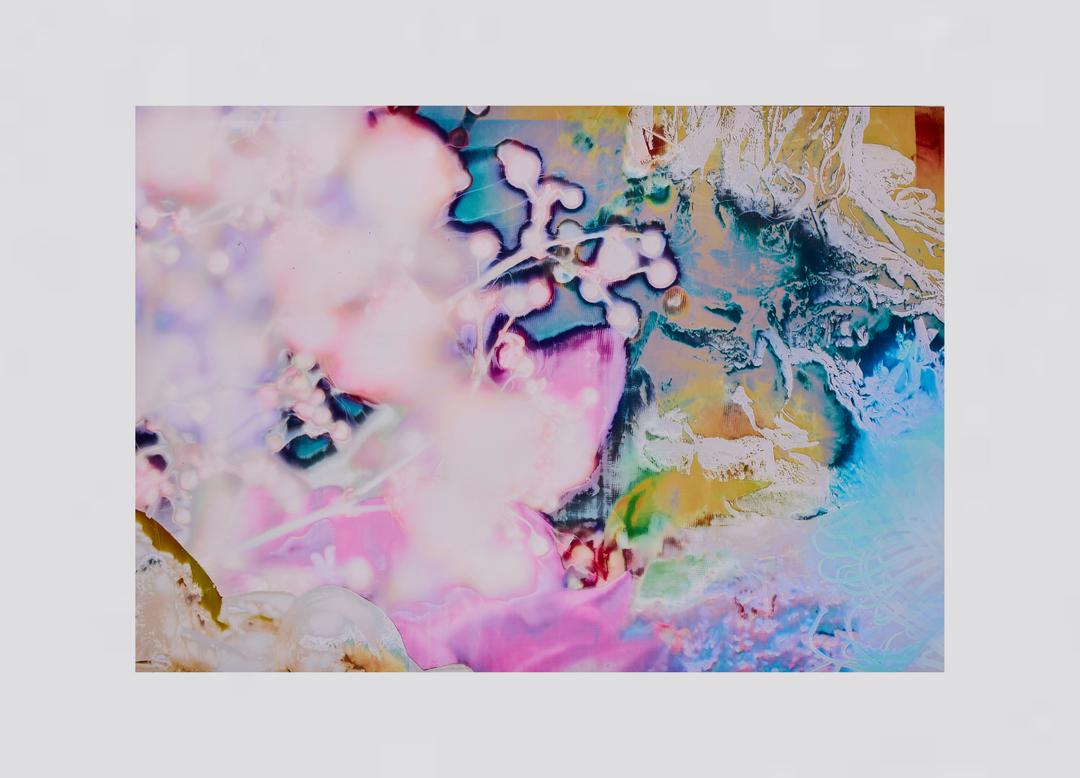 Of Voices and Herbs #5