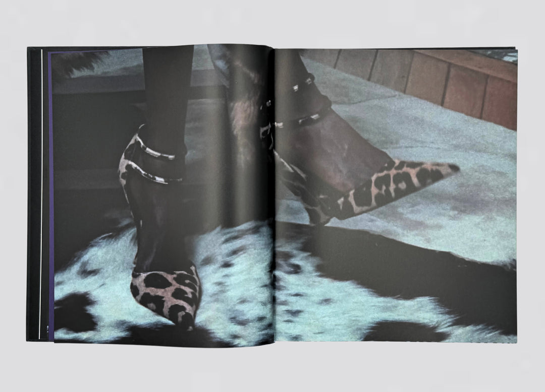 Gabriel Moses – Regina, book published by Prestel.