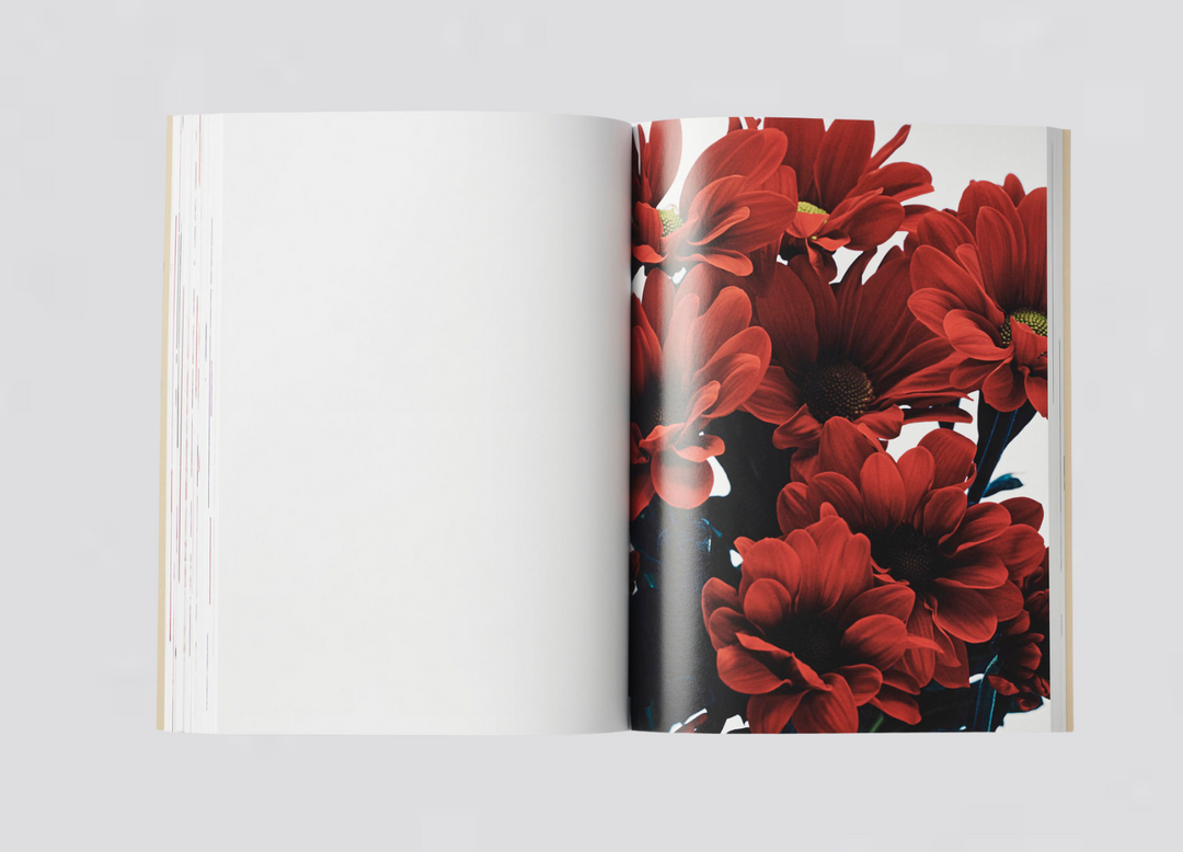 Jeremy Ayer — Organs of a Divided Labour - Flowers