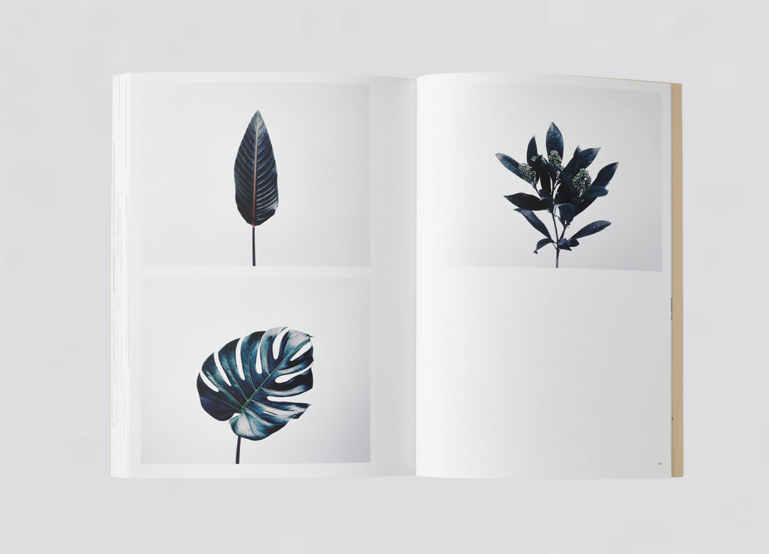 Jeremy Ayer — Organs of a Divided Labour - Flowers