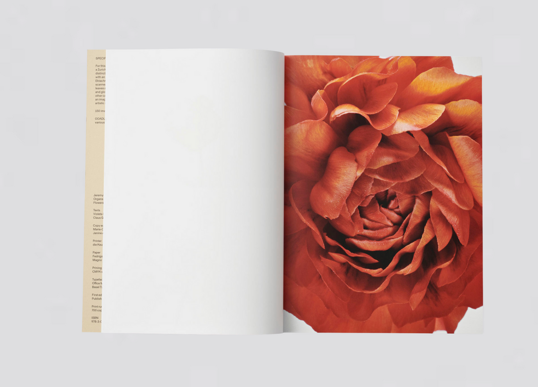 Jeremy Ayer — Organs of a Divided Labour - Flowers