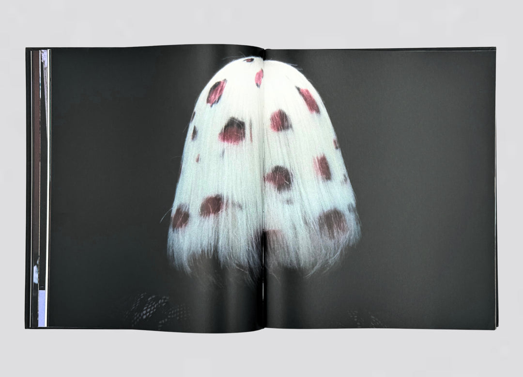 Gabriel Moses – Regina, book published by Prestel.