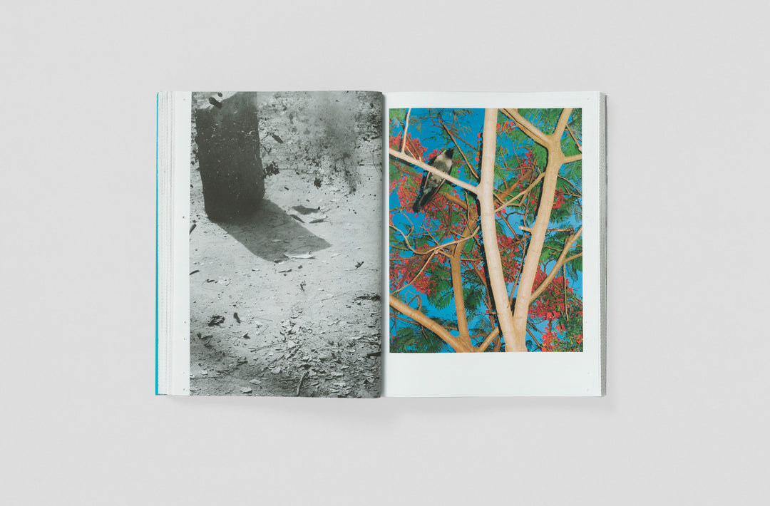 Neither Magazine Vol. 1