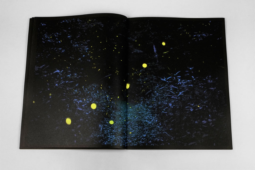 Samuel James – Nightairs published by FW:BOOKS