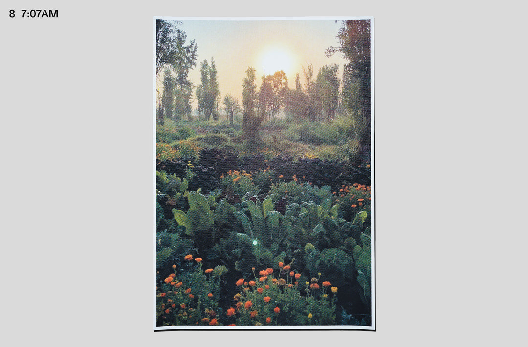 Sam Youkilis – Somewhere Screenprints print signed edition.