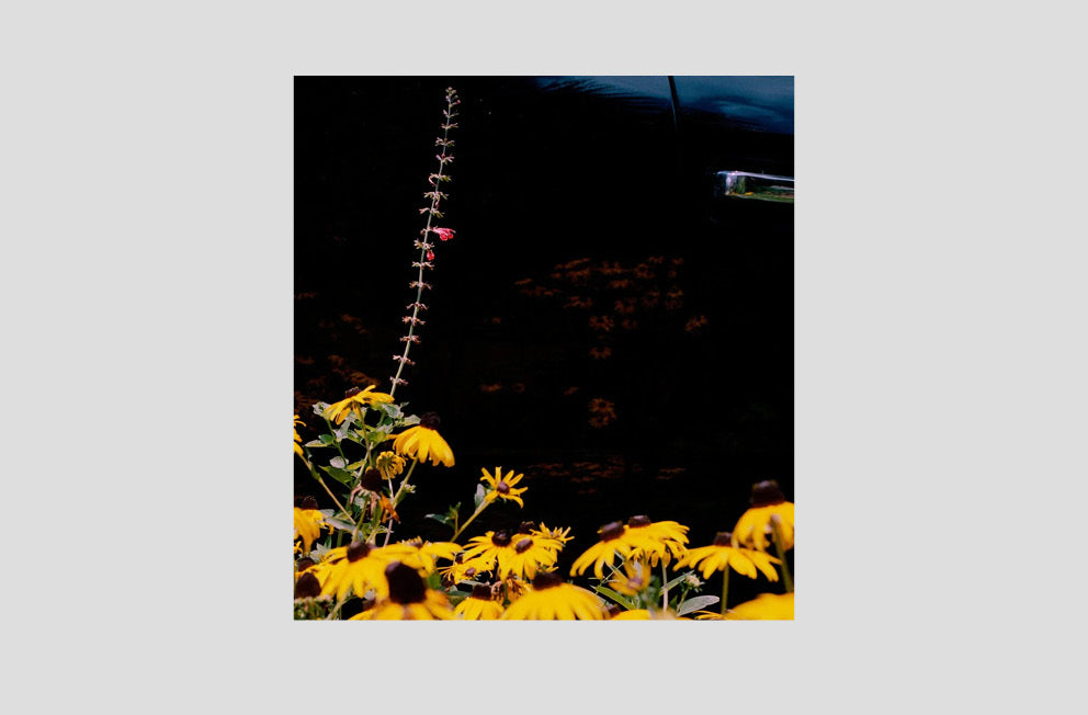 Vasantha Yogananthan — Mystery Street SIGNED