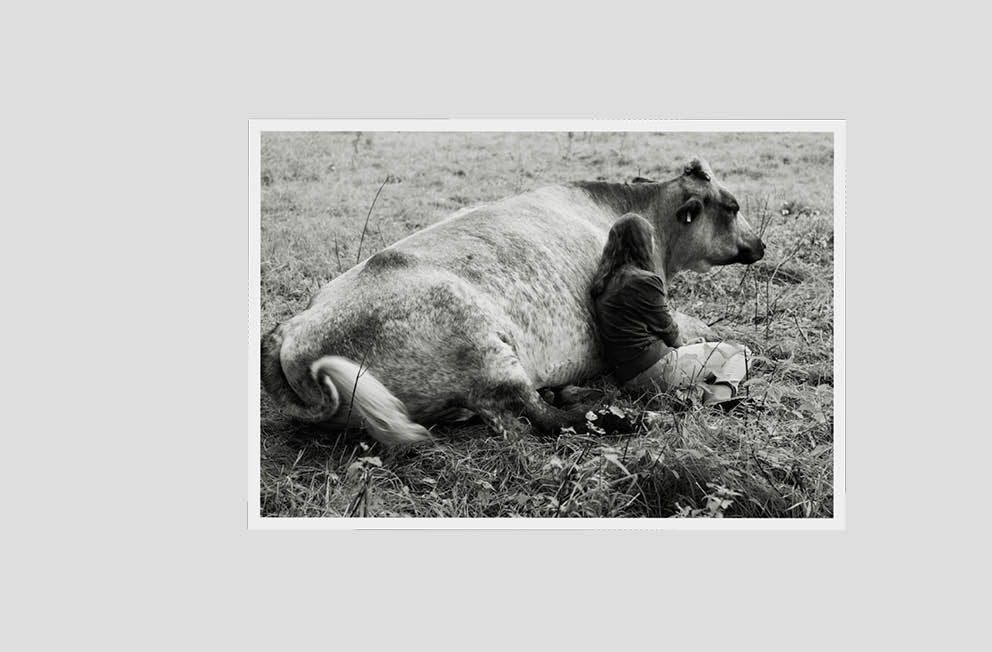 Yana Wernicke – Companions Print Edition