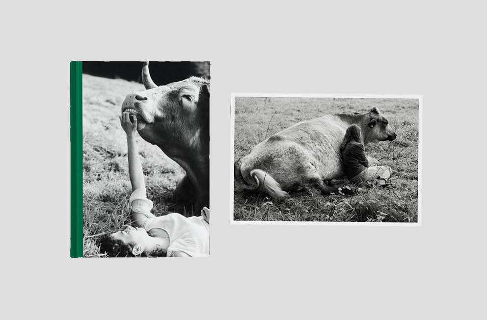 Yana Wernicke – Companions Print Edition