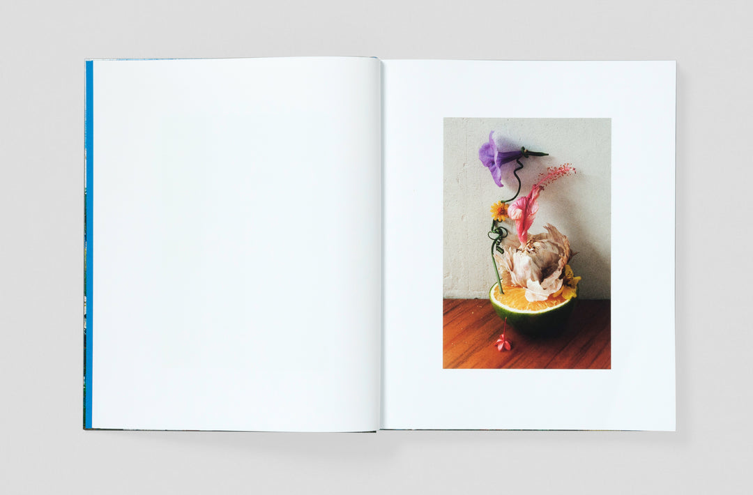 Bobby Doherty – Dream About Nothing, book published by Loose Joints. ISBN9781912719501