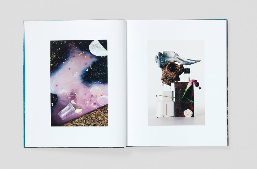 Bobby Doherty – Dream About Nothing, book published by Loose Joints. ISBN9781912719501