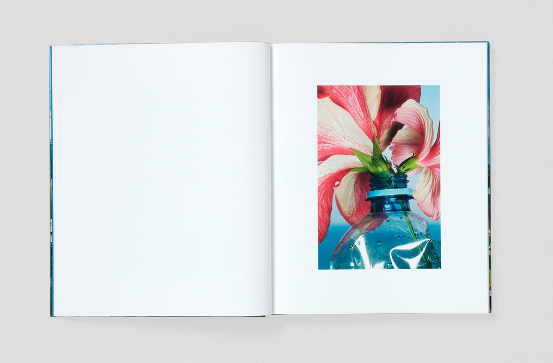 Bobby Doherty – Dream About Nothing, book published by Loose Joints. ISBN9781912719501