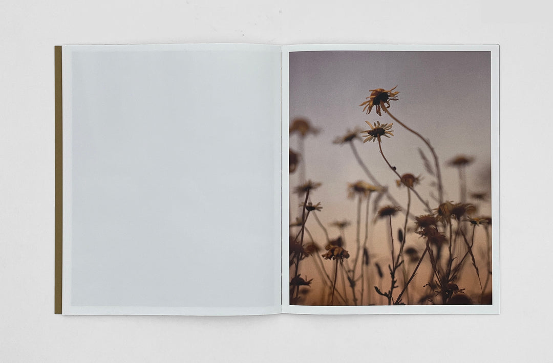 Max Miechowski - Land Loss