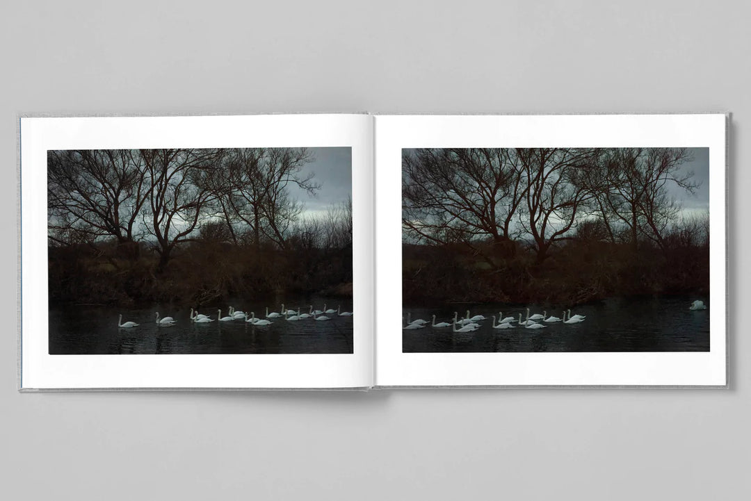 Jem Southam – Four Winters