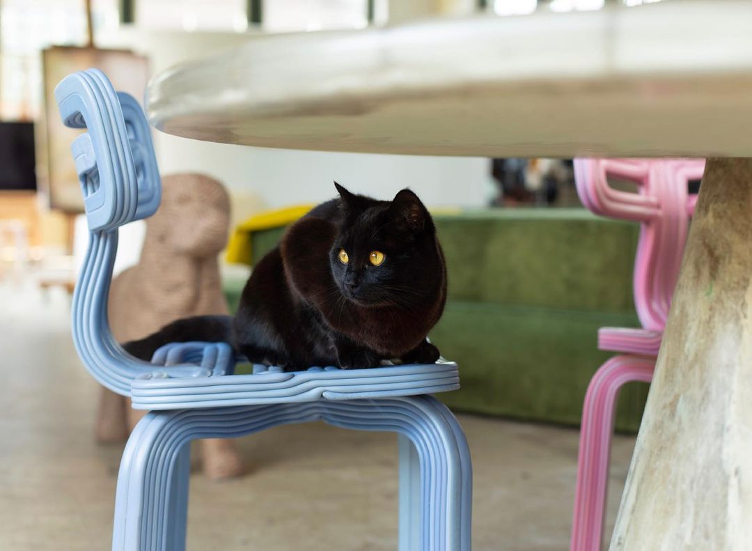 Dirk van der Kooij – Chubby Chair