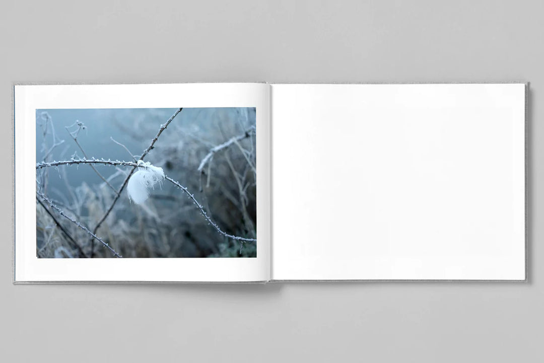 Jem Southam – Four Winters