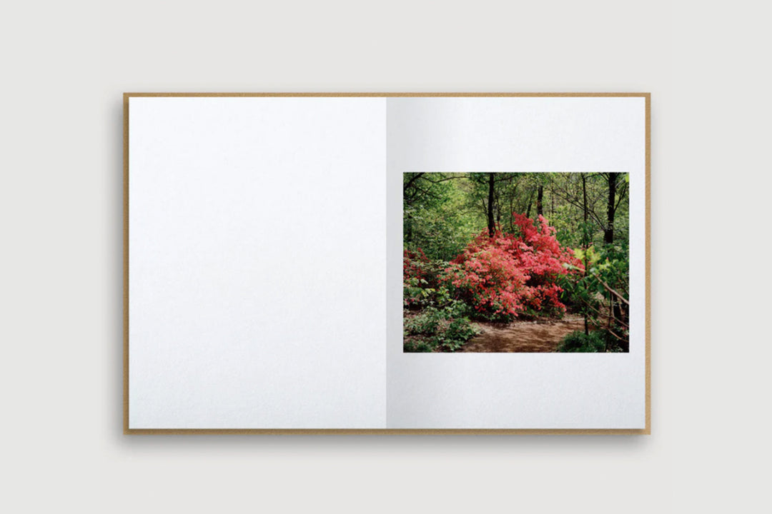 Scott Rossi – Common Place