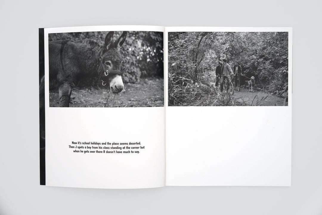 Sarah Dobai – The Donkey Field