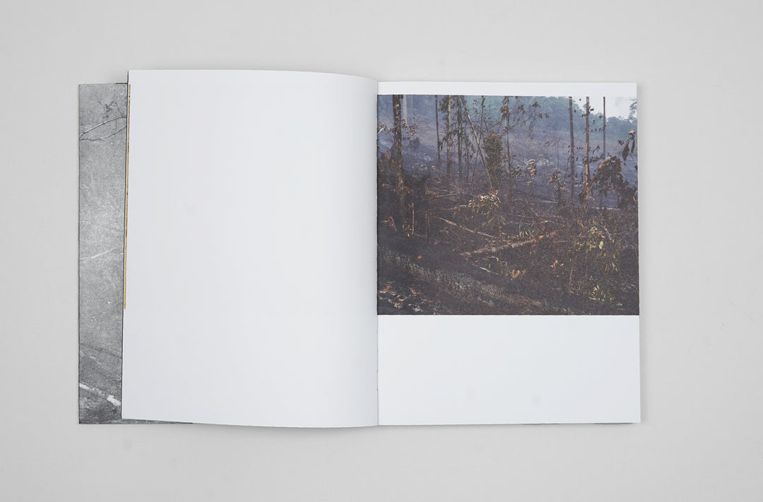 Marie Queau – Odds and Ends