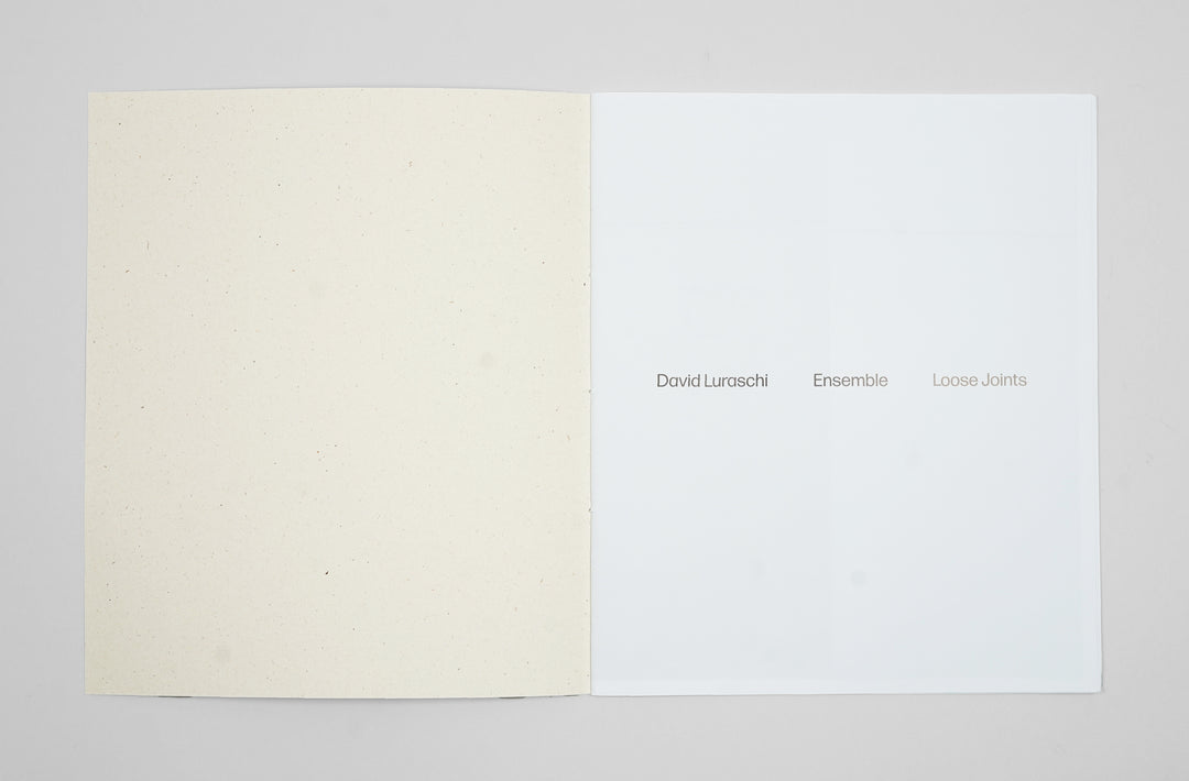 David Luraschi – Ensemble