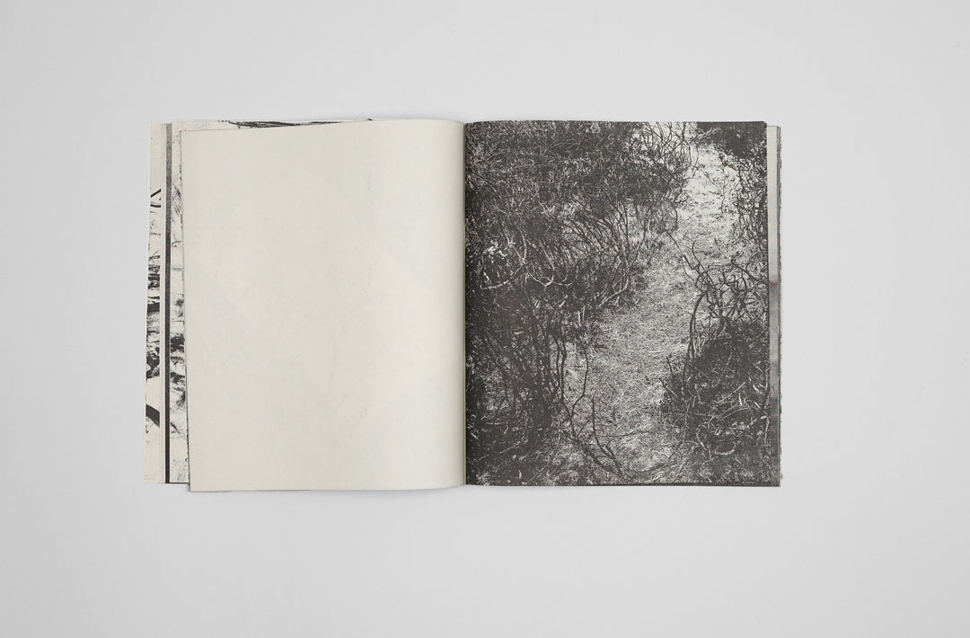 Jack Whitefield – FURZE