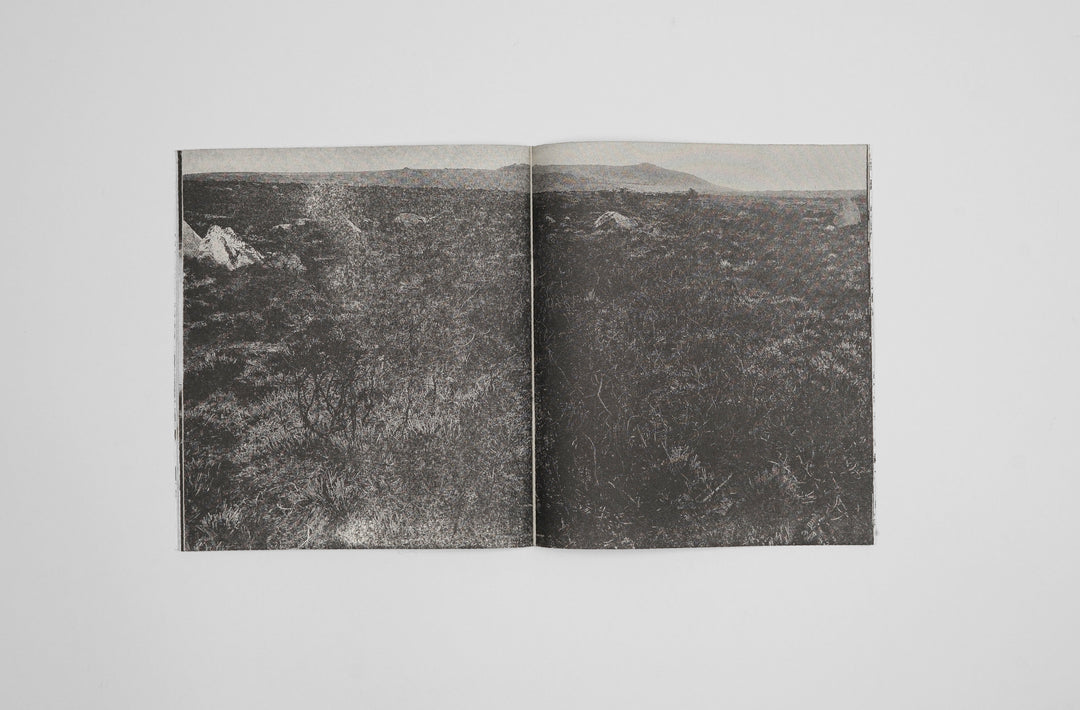 Jack Whitefield – FURZE