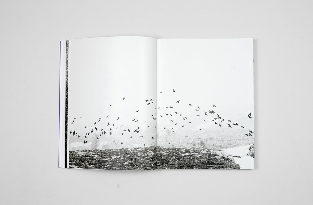 Jon Cazenave – Galerna