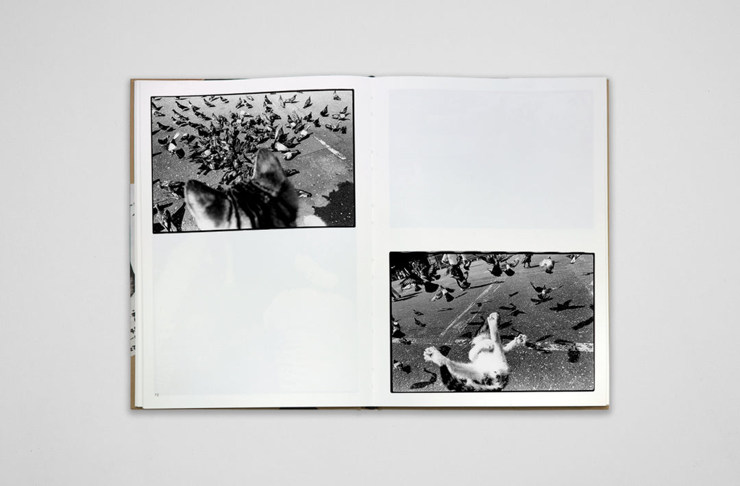 Masahisa Fukase – Sasuke