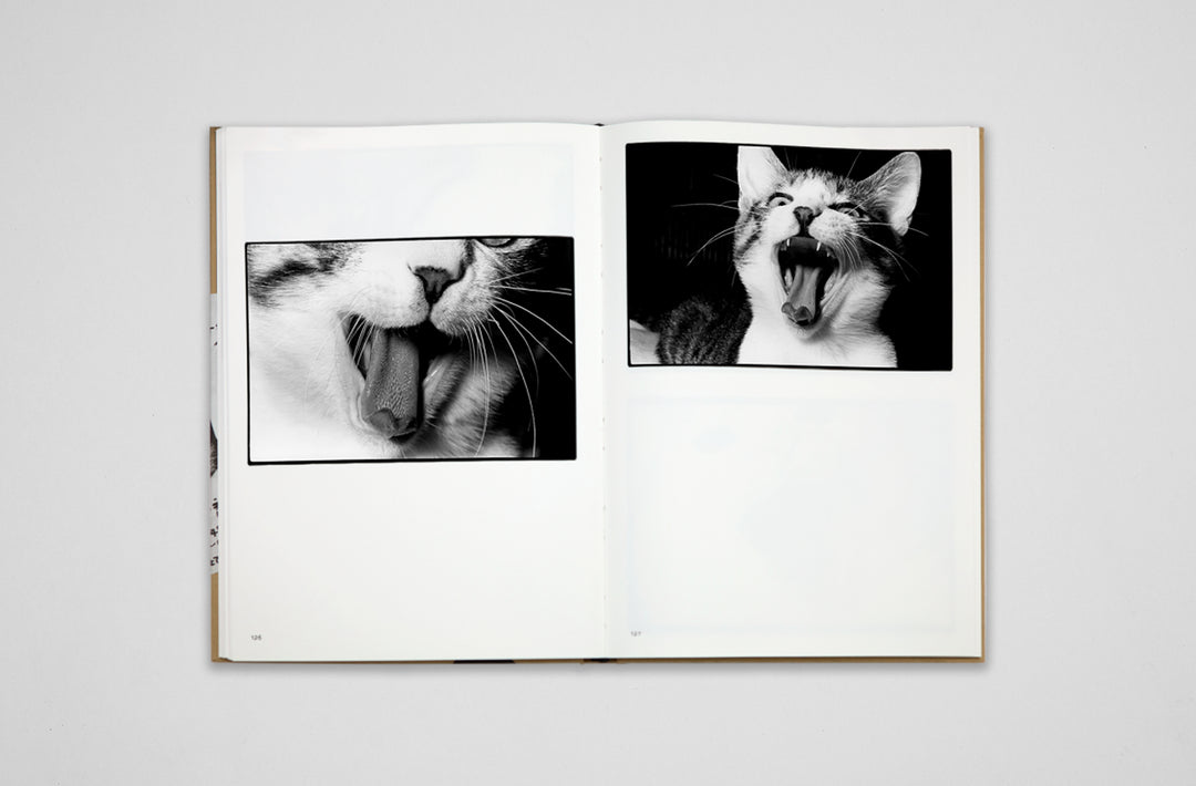Masahisa Fukase – Sasuke
