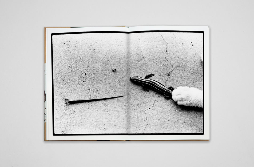 Masahisa Fukase – Sasuke