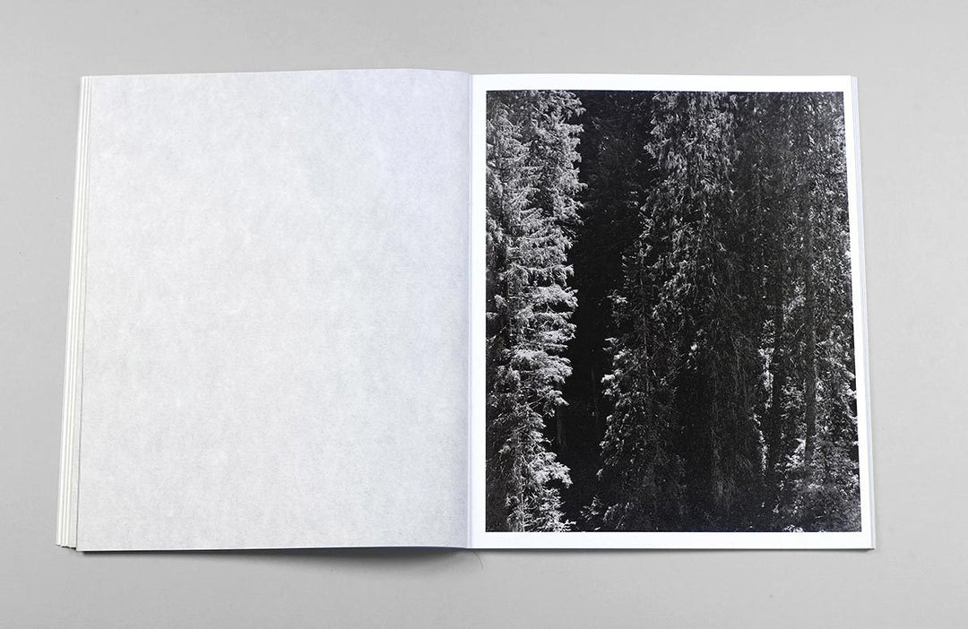 Awoiska Van Der Molen – The Living Mountain
