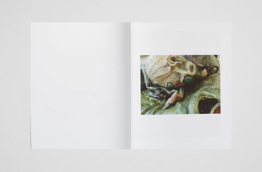Estelle Hanania – IT'S ALIVE! A travers l’oeuvre de Gisele Vienne photobook