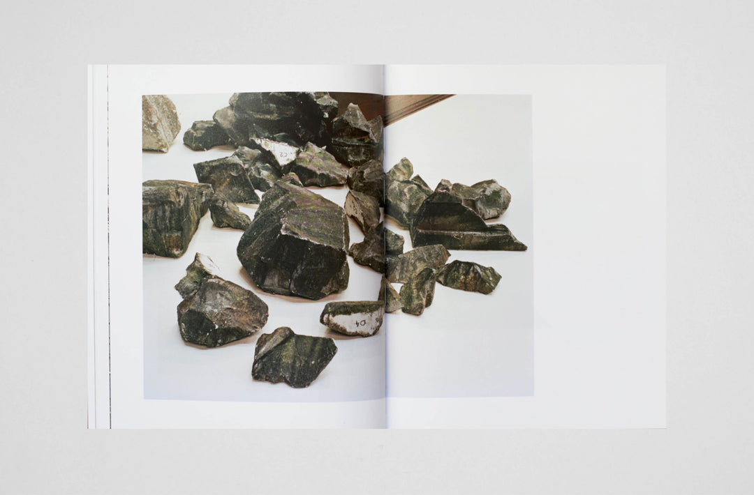 Estelle Hanania – IT'S ALIVE! A travers l’oeuvre de Gisele Vienne photobook