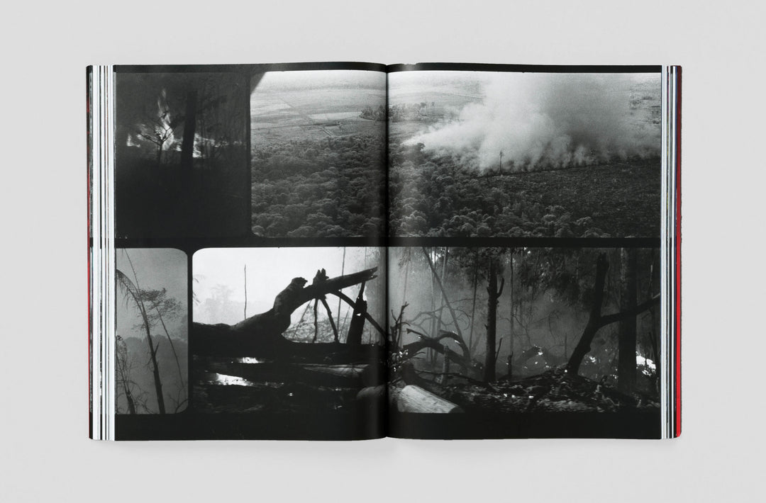 Richard Mosse – Broken Spectre