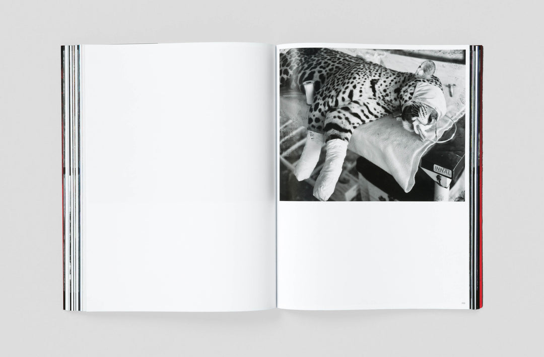 Richard Mosse – Broken Spectre