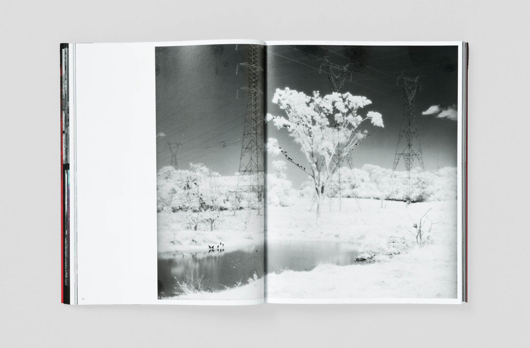 Richard Mosse – Broken Spectre